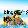 bingo是什么意思中文（bingo的中文意思是什么）