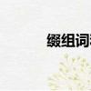 綴組詞和拼音（綴組詞有哪些）