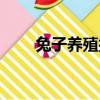 兔子養殖技術方法（怎么養殖兔子）