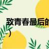 致青春最后的結局是什么意思（是怎么講述的）