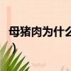 母豬肉為什么不能吃（母豬肉能不能吃為什么）