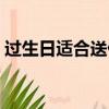 過生日適合送什么花（生日適合送的花介紹）