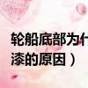 輪船底部為什么要涂抹底漆（輪船底部涂抹底漆的原因）