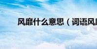 風靡什么意思(詞語風靡什么意思)