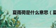 夏雨荷是什么意思(夏雨荷介紹)