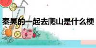 秦昊的一起去爬山是什么梗(這個梗的含義)
