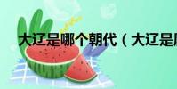 大遼是哪個朝代(大遼是屬于哪個朝代)