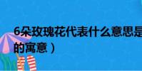 6朵玫瑰花代表什么意思是什么(6朵玫瑰花的寓意)