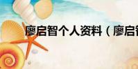 廖啟智個人資料(廖啟智人物經歷)