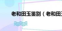 老和田玉鑒別(老和田玉如何鑒別)