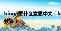 bingo是什么意思中文(bingo的中文意思是什么)
