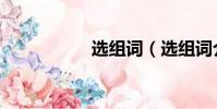 選組詞(選組詞介紹)
