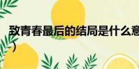 致青春最后的結局是什么意思(是怎么講述的)