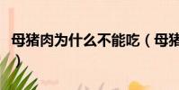 母豬肉為什么不能吃(母豬肉能不能吃為什么)