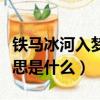 鐵馬冰河入夢來什么梗（鐵馬冰河入夢來的意思是什么）