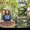 江一燕定居農村