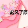 起風了原唱是誰（起風了歌曲介紹）