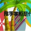 甩手掌柜是什么意思（甩手掌柜的意思是）