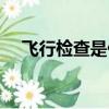 飛行檢查是什么意思（飛行檢查的意思）