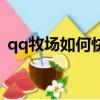 qq牧場如何快速升級（qq牧場怎樣升級快）