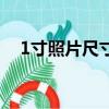 1寸照片尺寸是多少（1寸照片尺寸詳情）