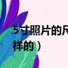5寸照片的尺寸是多少（5寸照片的尺寸是怎樣的）
