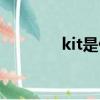 kit是什么意思（kit的含義）