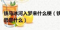 鐵馬冰河入夢來什么梗(鐵馬冰河入夢來的意思是什么)