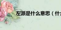 左派是什么意思(什么是左派)
