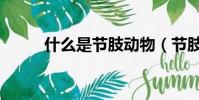 什么是節肢動物(節肢動物介紹)