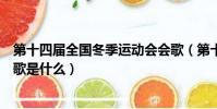 第十四屆全國冬季運動會會歌(第十四屆全國冬季運動會會歌是什么)
