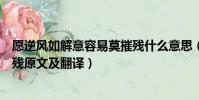 愿逆風如解意容易莫摧殘什么意思(愿逆風如解意容易莫摧殘原文及翻譯)
