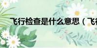 飛行檢查是什么意思(飛行檢查的意思)