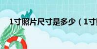 1寸照片尺寸是多少(1寸照片尺寸詳情)