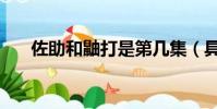 佐助和鼬打是第幾集(具體劇情講解)
