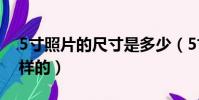 5寸照片的尺寸是多少(5寸照片的尺寸是怎樣的)