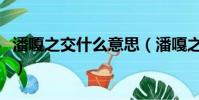 潘嘎之交什么意思(潘嘎之交到底是什么意思)