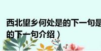 西北望鄉何處是的下一句是啥(西北望鄉何處的下一句介紹)