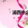 浦西什么意思（浦西是什么意思）