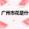 廣州市花是什么（廣州市花到底是什么花呢）