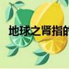 地球之腎指的是什么（地球之腎指的是啥）