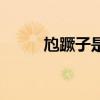 尥蹶子是什么意思（尥蹶子解釋）