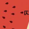 仄怎么讀（仄的讀法）