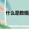 什么是數組的長度（數組的長度是什么）