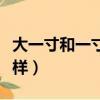 大一寸和一寸的區別（大一寸和一寸有何不一樣）