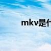 mkv是什么格式（mkv格式介紹）