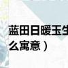 藍田日暖玉生煙的寓意（藍田日暖玉生煙有什么寓意）