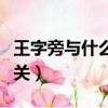 王字旁與什么有關（王字旁的漢字多與什么有關）