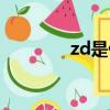 zd是什么意思（zd是什么）
