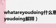 whatareyoudoing什么意思中文(whatareyoudoing解釋)